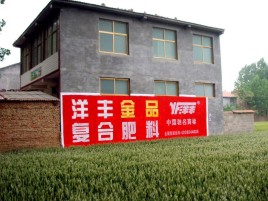 周至如何让墙体广告展现最大化效果