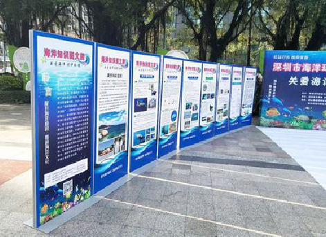 周至KT板的种类和知识。